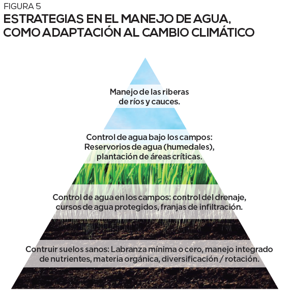 Mejorar la calidad del suelo: una estrategia de adaptación al cambio climático