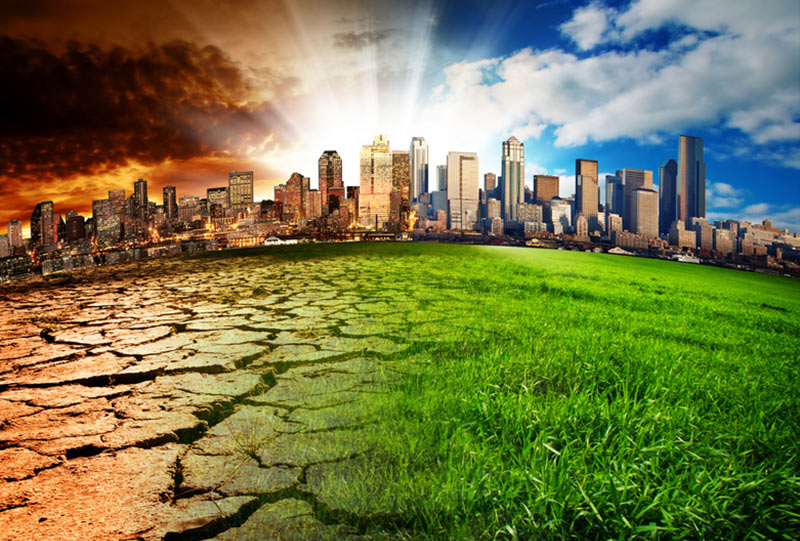 Latinoamérica duplicó sus emisiones agrícolas de gases de efecto invernadero