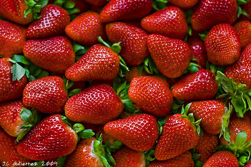 Marruecos es el quinto exportador de fresas del mundo