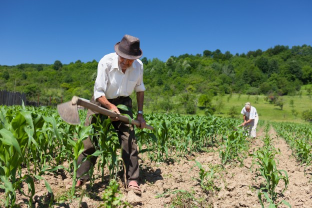Presupuesto del agro se enfocará en la Agricultura Familiar Campesina, SAG y recursos hídricos