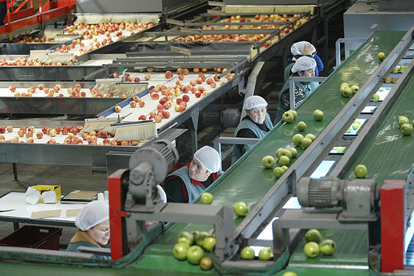 Bown: "se espera una temporada normal de exportaciones de frutas" 