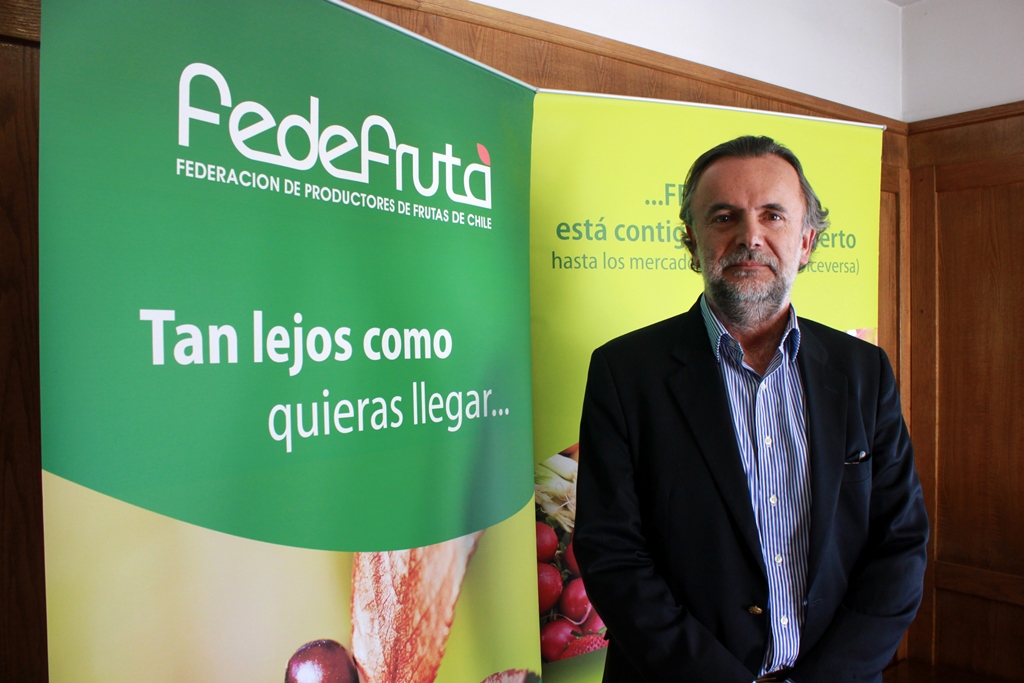 En 2015 Chile exportará 2,7 millones de toneladas de fruta