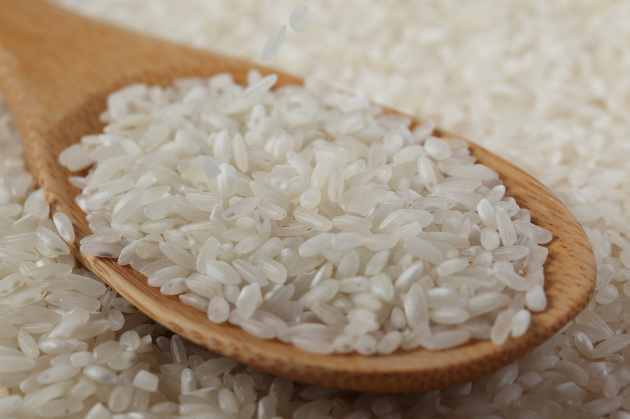 Departamento de Agricultura de Estados Unidos proyecta baja en la producción mundial de arroz