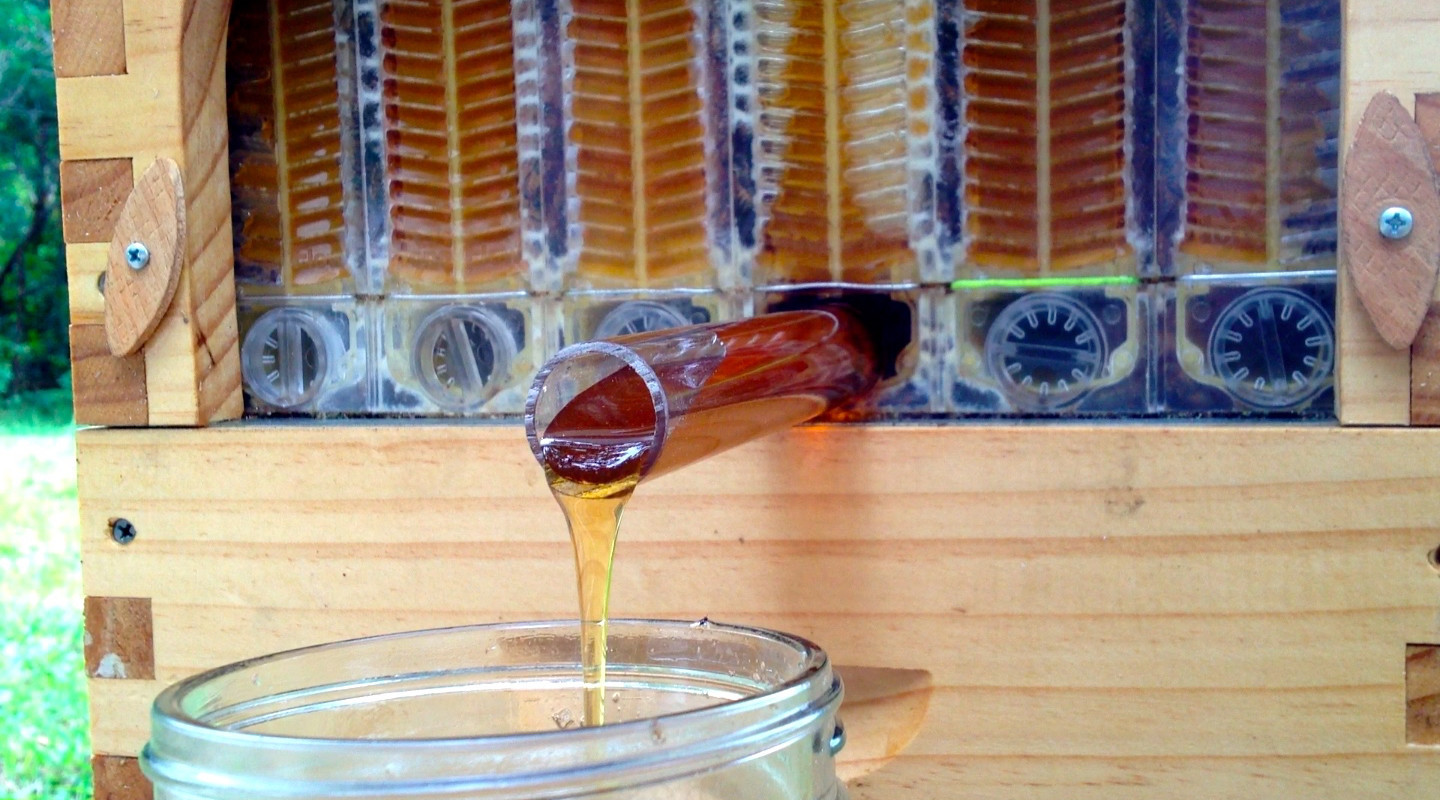 Nuevo diseño de colmena permite recoger la miel directamente en el envase