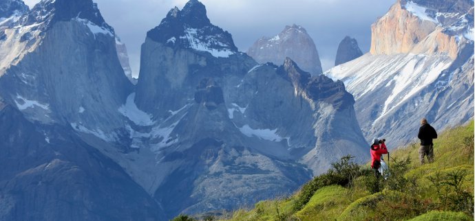 Conservación genética: SAG recibe 20.000 semillas de lenga de Torres del Paine