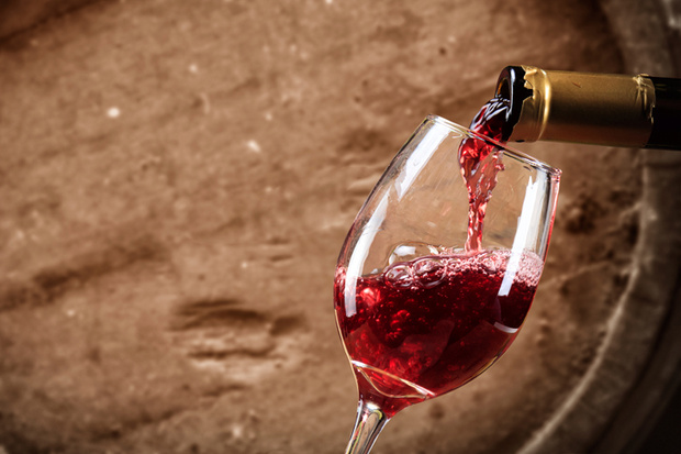 Exportaciones de vinos presentan incremento en volumen y valor en primeros meses de 2015 
