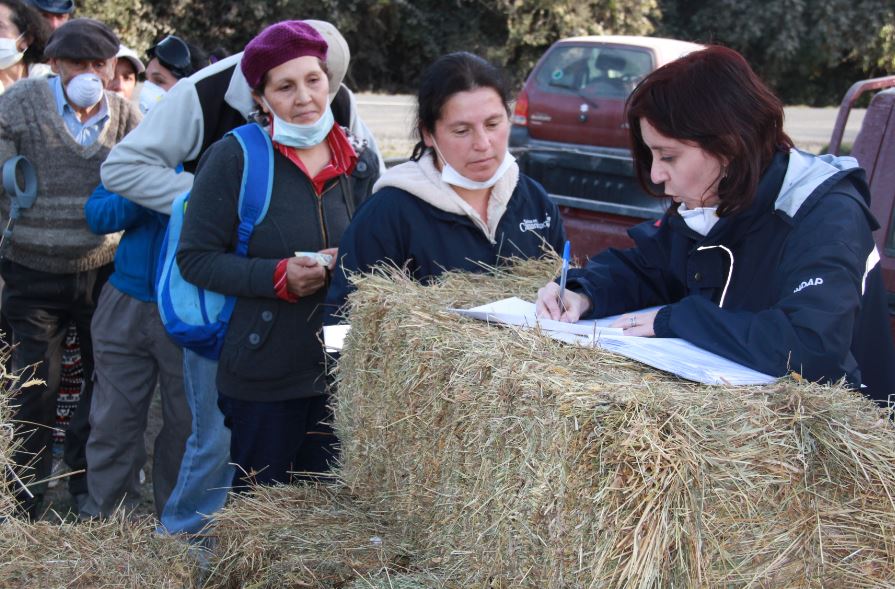 Calbuco: Bono para los agricultores