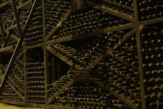 EPICA, el nuevo vino Millenial de San Pedro ahora disponible en Chile