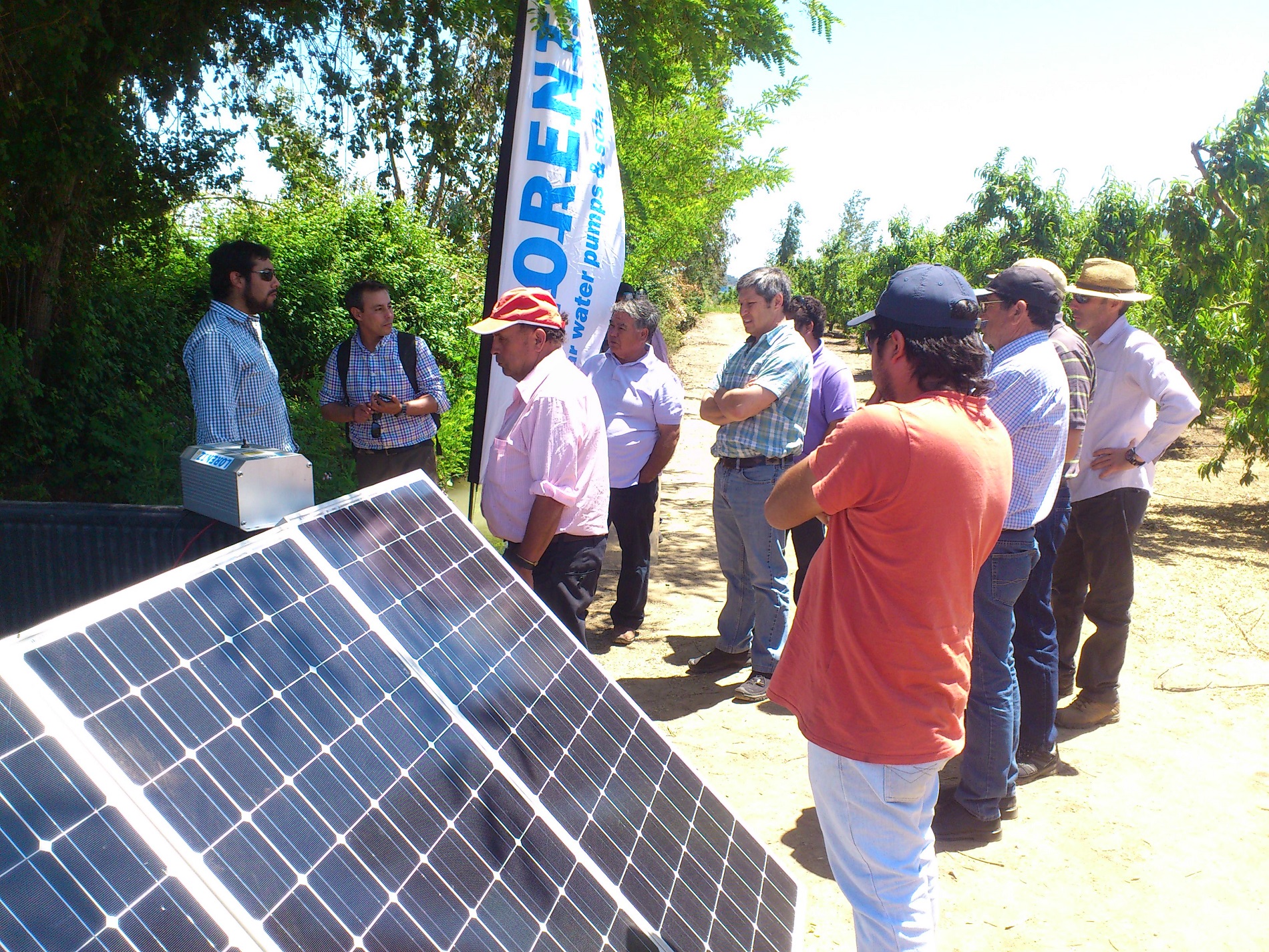 Promueven uso de energía solar para sector agroalimentario