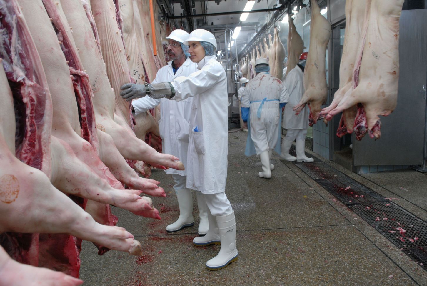 Se proyecta récord en las exportaciones de carne de cerdo hacia China el 2017 
