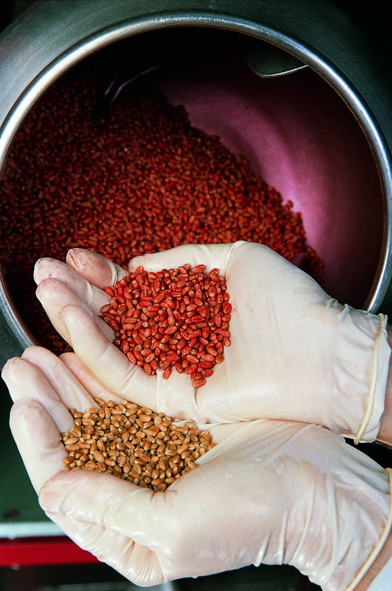 Bayer lanzó Scenic en Chile, la última innovación en tratamiento de semillas
