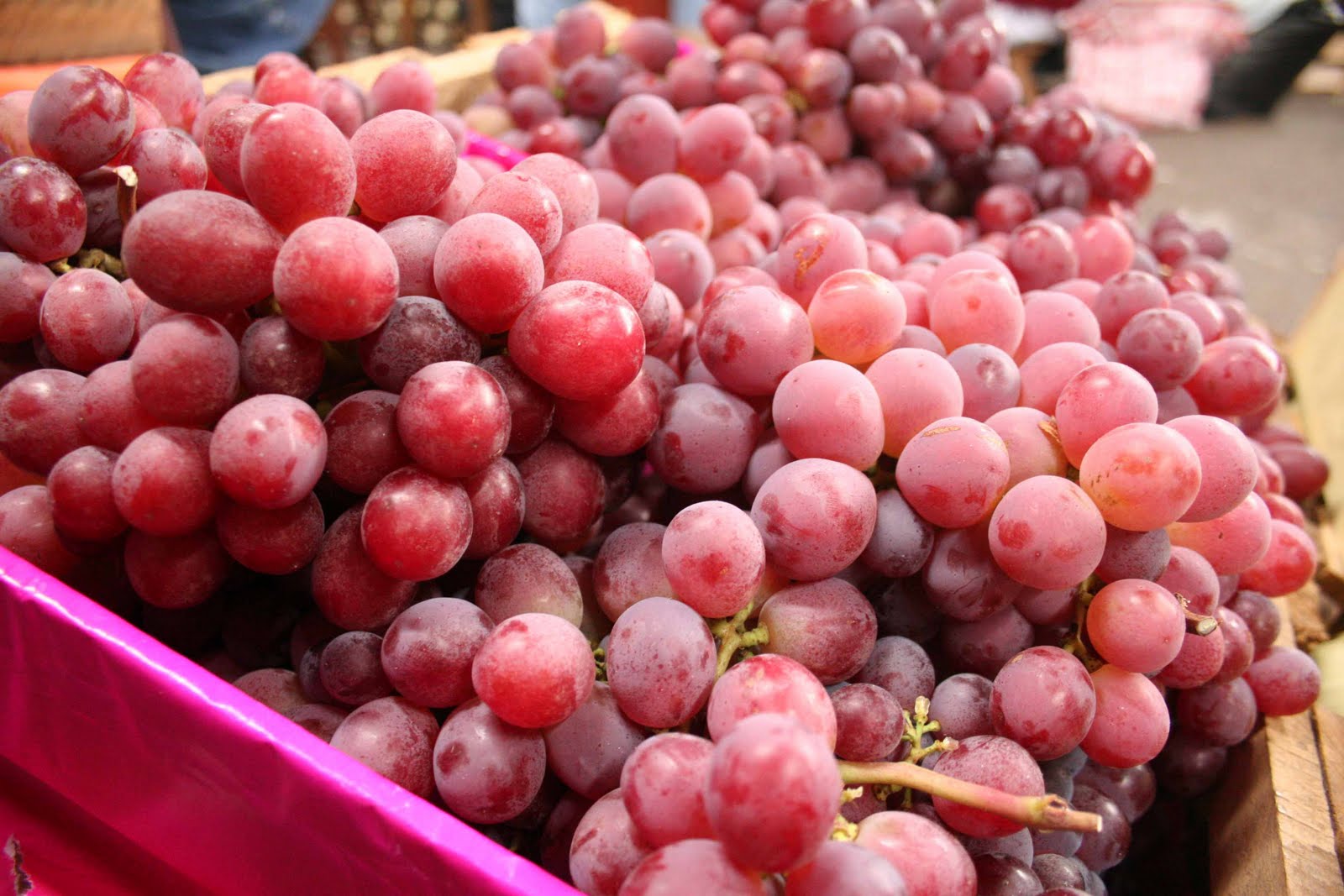Primeros envíos de uva a Estados Unidos se ven afectado por bajos precios 