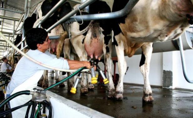 Industria láctea presenta alza en abril 
