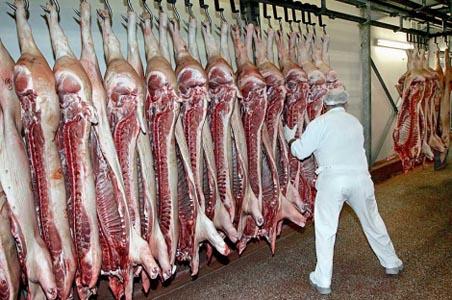 Argentinas se interesa de la experiencia exportadora del sector porcino chileno
