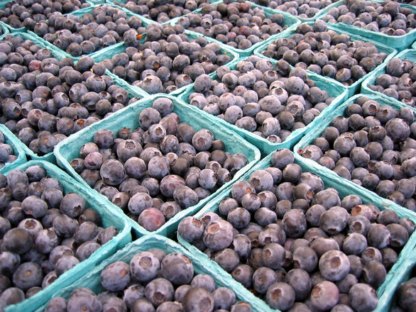 Spray para combatir hongos y bacterias en berries de exportación
