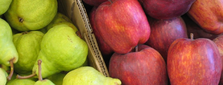 Sensores permiten diferenciar olores de peras y manzanas