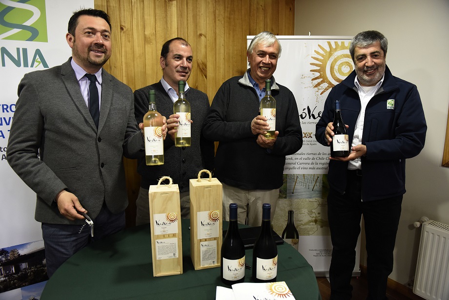 Chile produce el vino más austral del mundo