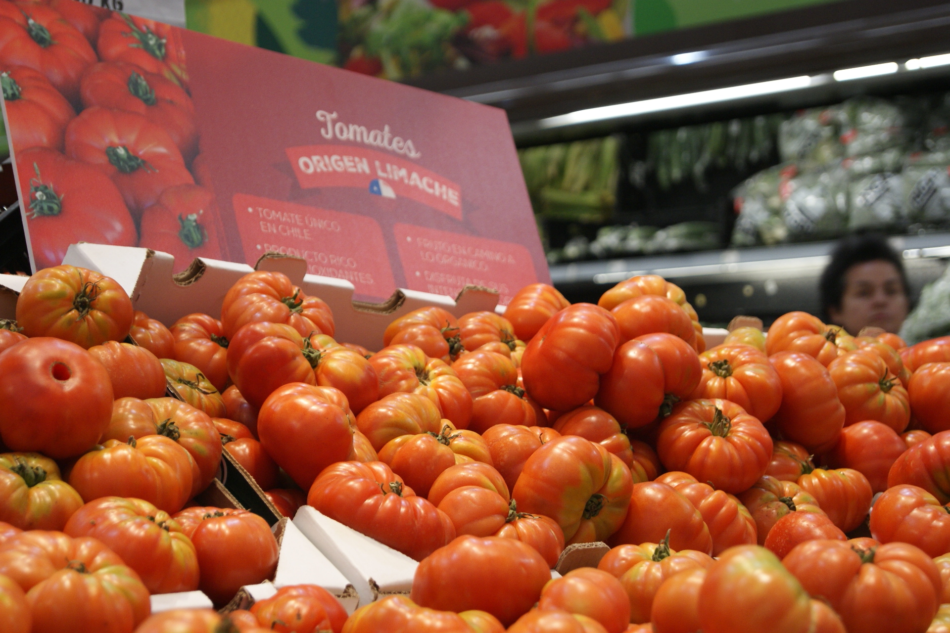 Tomate limachino vuelve a ser comercializado en supermercados de Santiago 