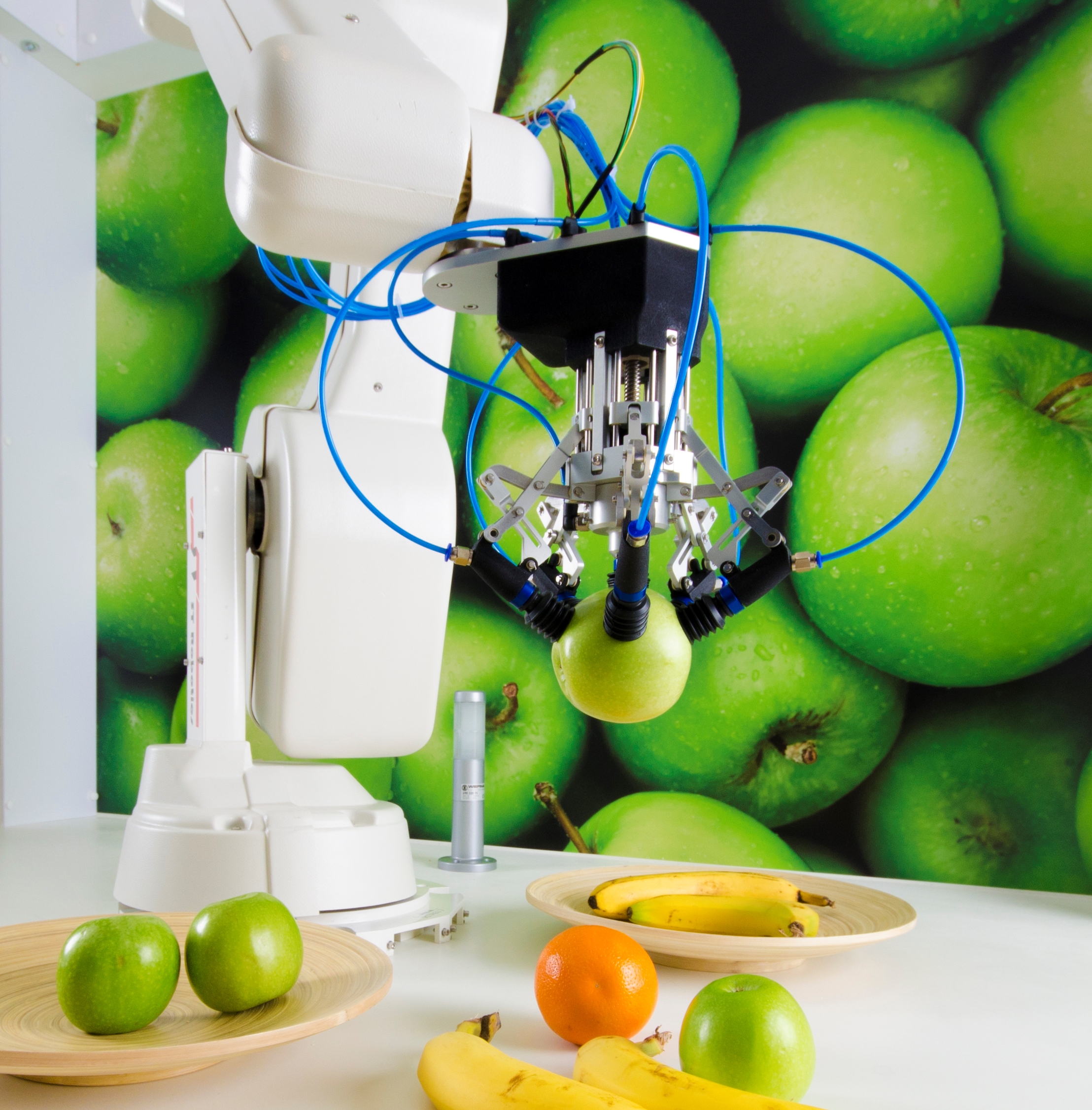 Desarrollan robot que selecciona fruta para procesamiento