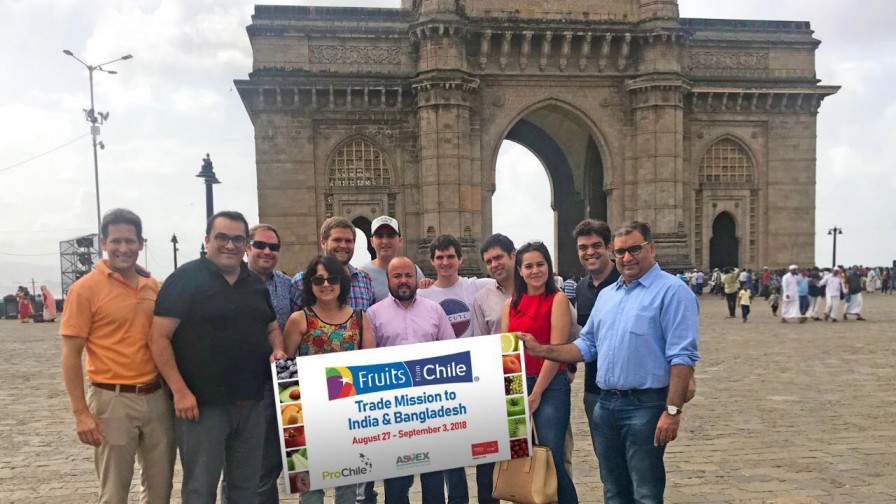 Industria frutícola chilena realiza nuevamente una gira a India