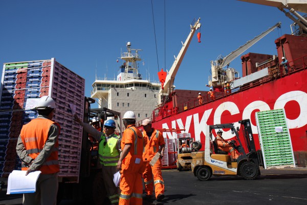 Embarques de fruta fresca desde Valparaíso bajan 90% por paro portuario