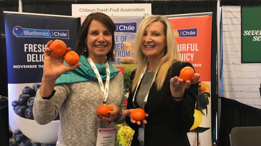 Fruits From Chile analiza planes para CPMA para la temporada 2018-2019