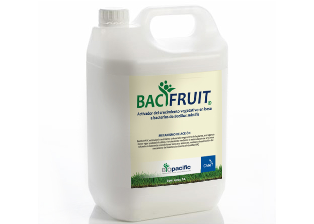 Bacifruit, nuevo bioplaguicida en el mercado para el control de Botrytis Cinerea