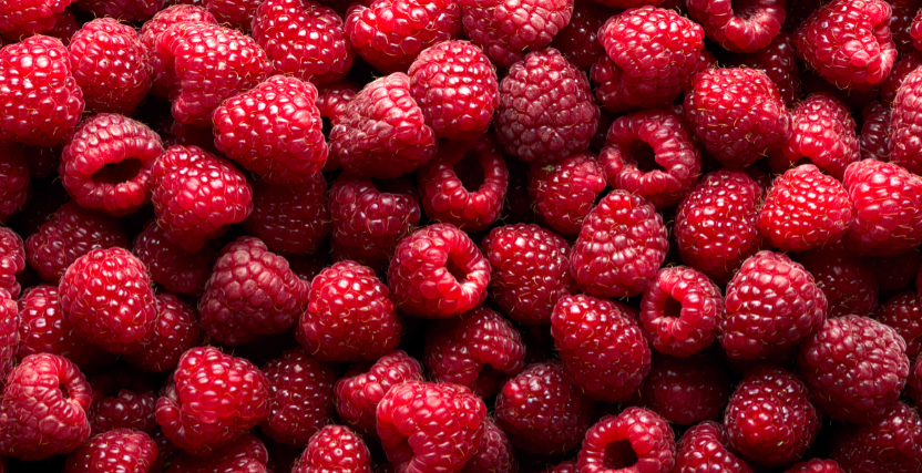 Hortifrut se alía con BFruit, líder de producción de berries frescos en Portugal