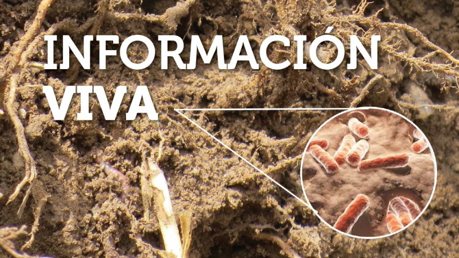 Indicadores biológicos de calidad de suelo para evaluación de programas integrados de nutrición