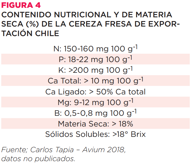 Realidad, propuestas y consideraciones para el futuro de la producción de cereza en Chile