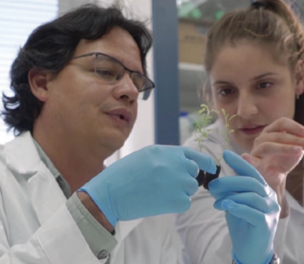 SynergiaBIO: ciencia, tecnología e innovación para generar soluciones biotecnológicas