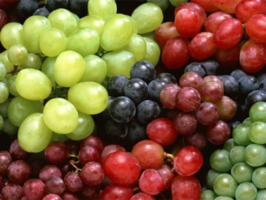 Exportaciones de uvas de mesa disminuirían 12% respecto a temporada anterior