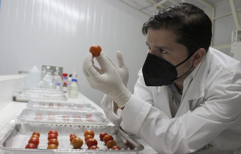 INIA trabaja en prototipo de recubrimiento natural para prolongar vida útil de frutas