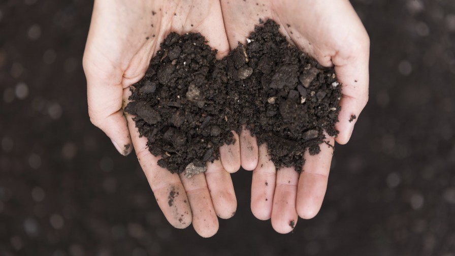 El secreto de los suelos fértiles: qué son los ácidos húmicos y qué beneficios aportan al suelo y las plantas