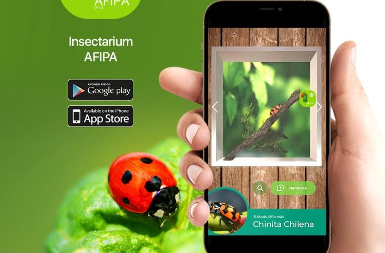 Insectarium: nueva App que permite reconocer insectos y visualizarlos en detalle