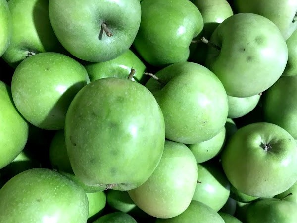 Principales daños y defectos registrados en manzanas durante la temporada 2021