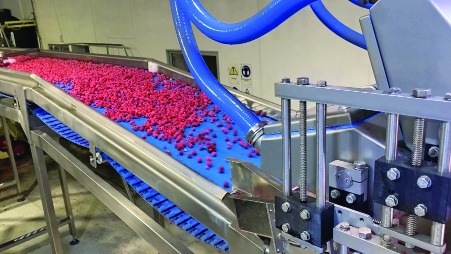 VITAFOODS incorpora la TOMRA 5B a su planta de procesado de berries en Chillán