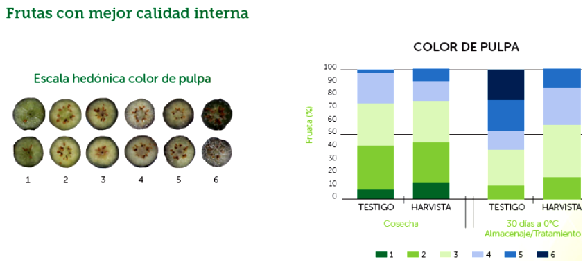 Harvista™ 1,3 SC de AgroFresh ofrece grandes beneficios para productores de arándanos de Chile y Argentina