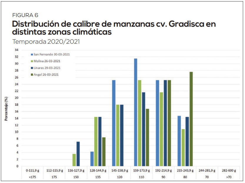 Comportamiento de nuevas variedades de manzanos y perales evaluados en Chile