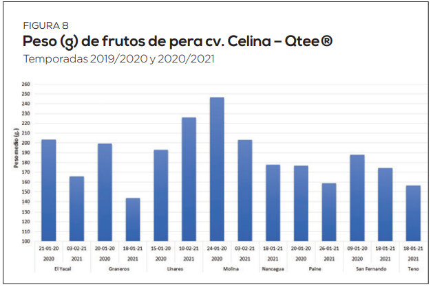 Comportamiento de nuevas variedades de manzanos y perales evaluados en Chile