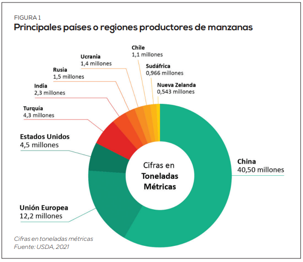 Situación actual y expectativas de la manzana chilena en los mercados mundiales