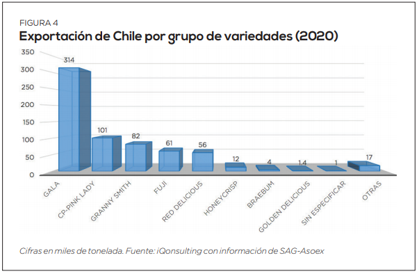 Situación actual y expectativas de la manzana chilena en los mercados mundiales