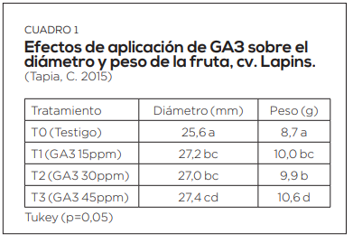 Uso de ácido giberélico en la producción de cerezas: bases teóricas y experiencias en Chile