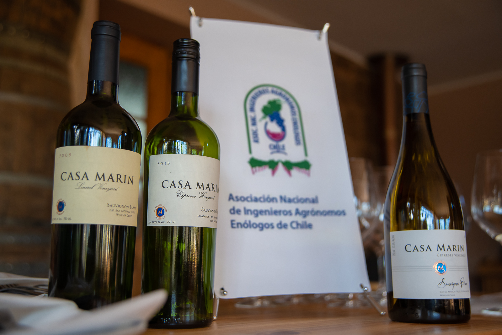 ANIAE continúa con ciclo de catas verticales de vinos íconos chilenos y realiza cuarta cata