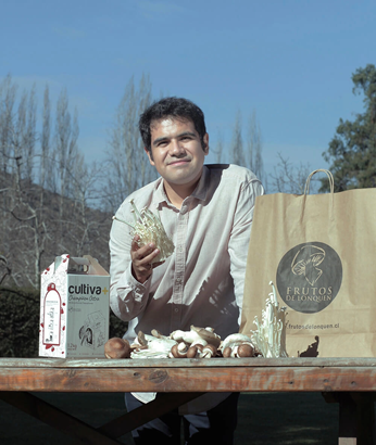 Producción de hongos exóticos en Chile: innovación que permite procesos sustentables