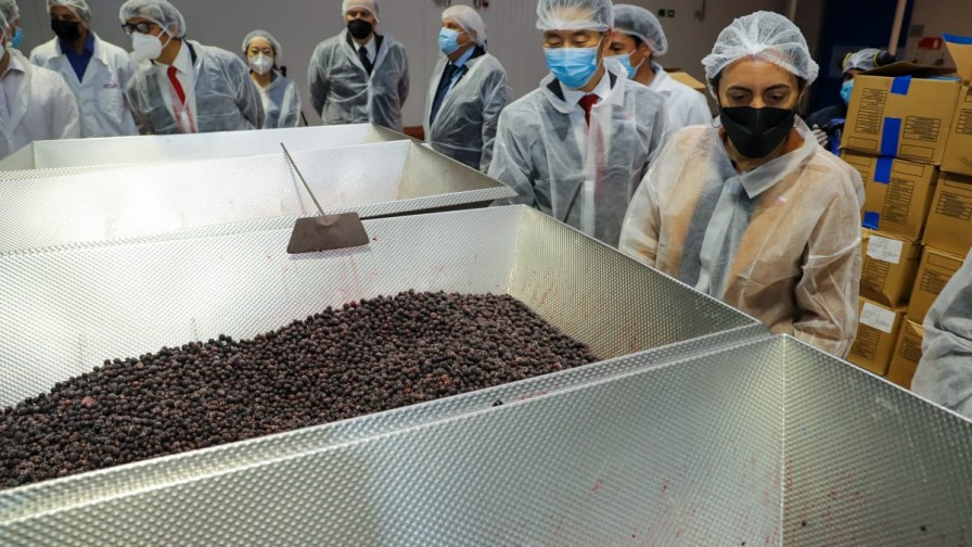 Minagri firma protocolo de frutos congelados que amplía a 17 las especies disponibles para exportar a China