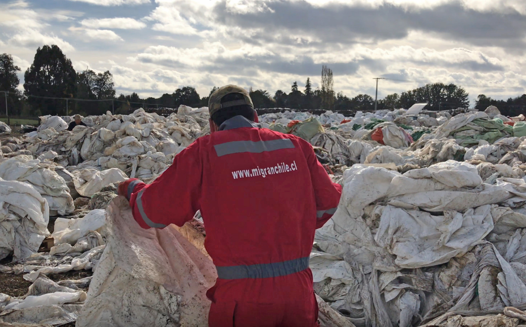 “RECICLAAS en tu campo” ya ha reciclado más de 124 toneladas de plástico en el sur de Chile