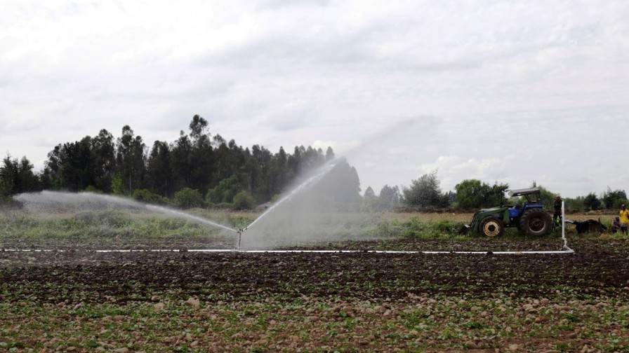 Factores que influyen y motivan a los agricultores y empresas a participar en subsidios de riego