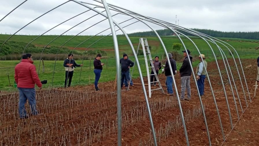 Proyecto de vitivinicultura en La Araucanía busca generar polo de desarrollo productivo