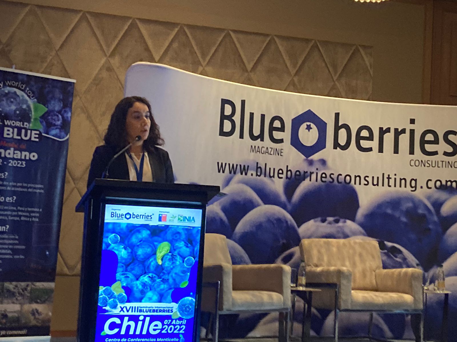 Destacan aporte de INIA al sector en el XVIII Seminario Internacional Blueberries Chile 2022